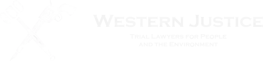 Western Justice logo in white