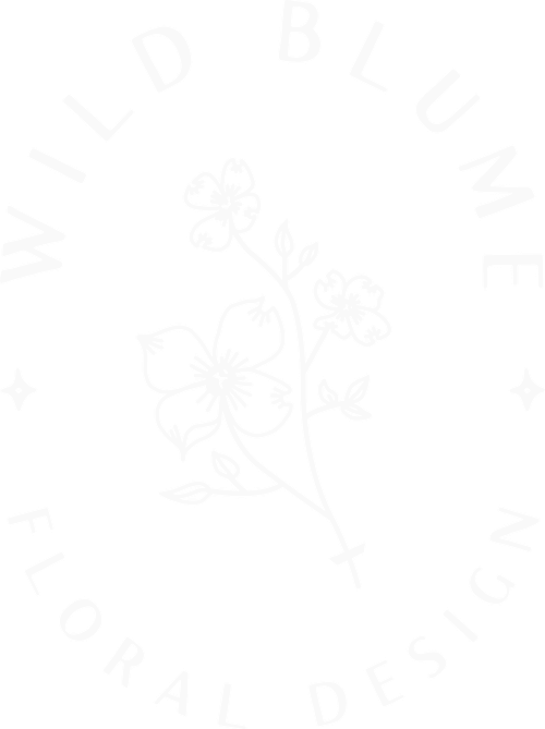 Wild blume botanical illustration with delicate flowering plant stems and leaves.