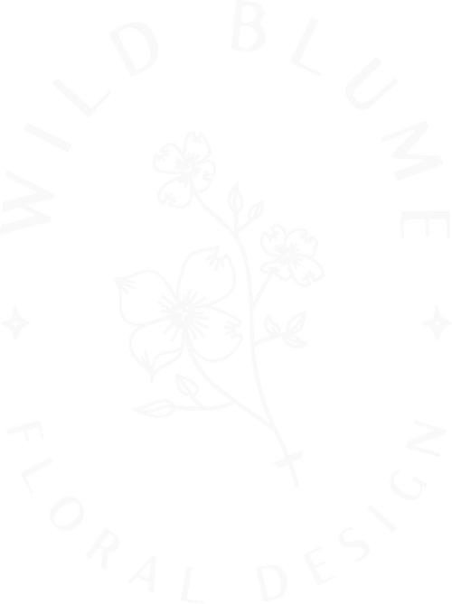 Wild blume botanical illustration with delicate flowering plant stems and leaves.
